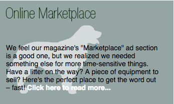 onlinemarketplace