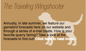 thetravelingwingshooter