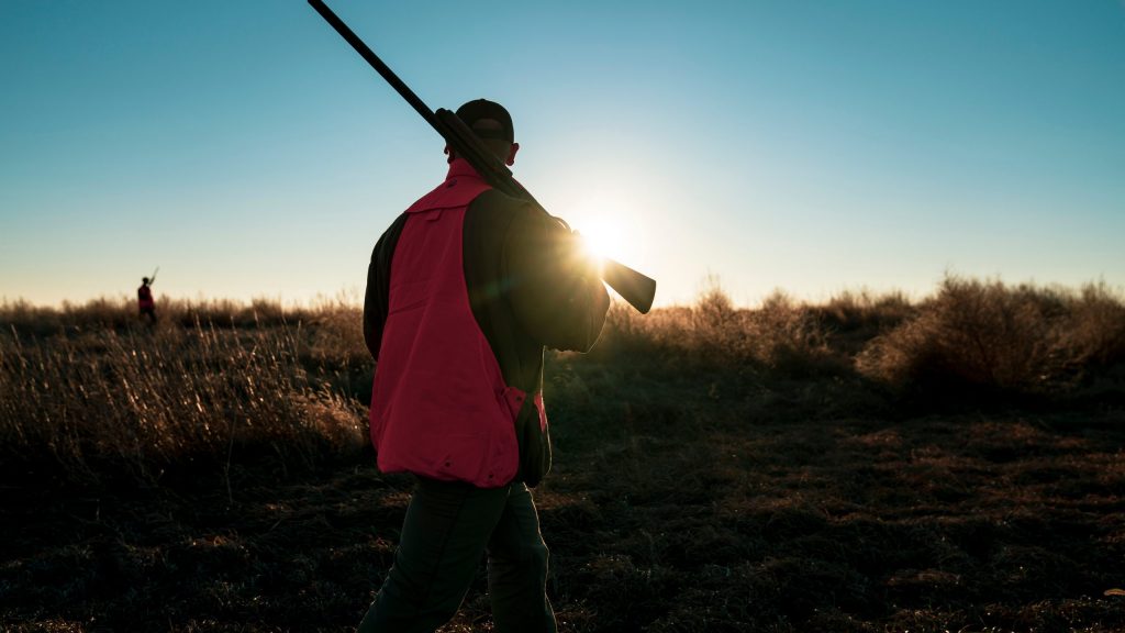 2025 Upland Gamebird Hunting Forecast