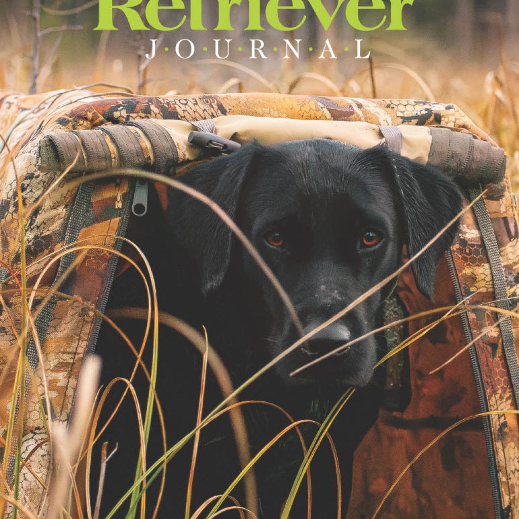 August September 2026 issue of The Retriever Journal