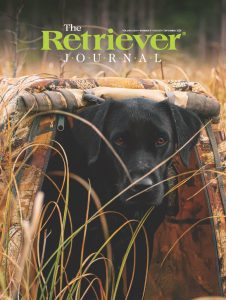 August September 2026 issue of The Retriever Journal