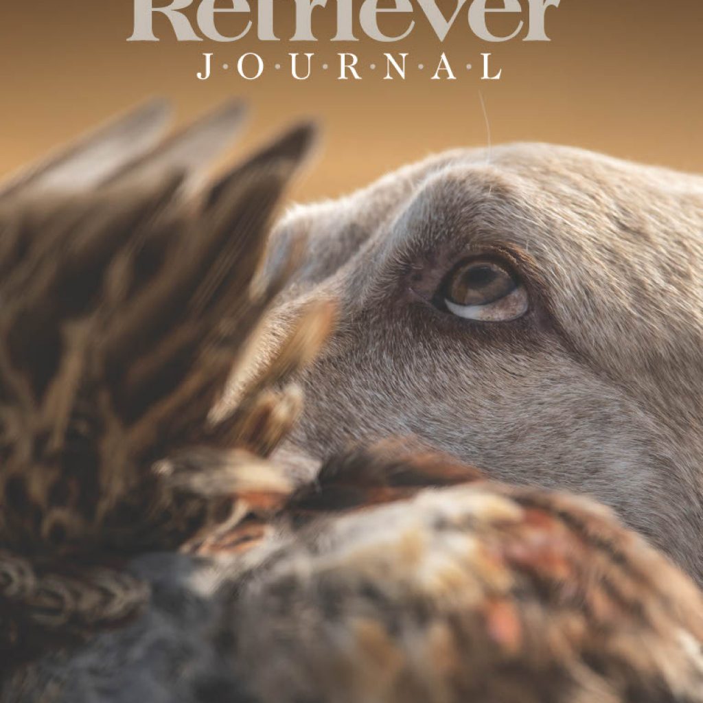 October November 2026 The Retriever Journal