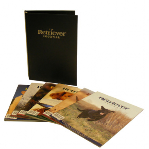 binder-and-back-issues
